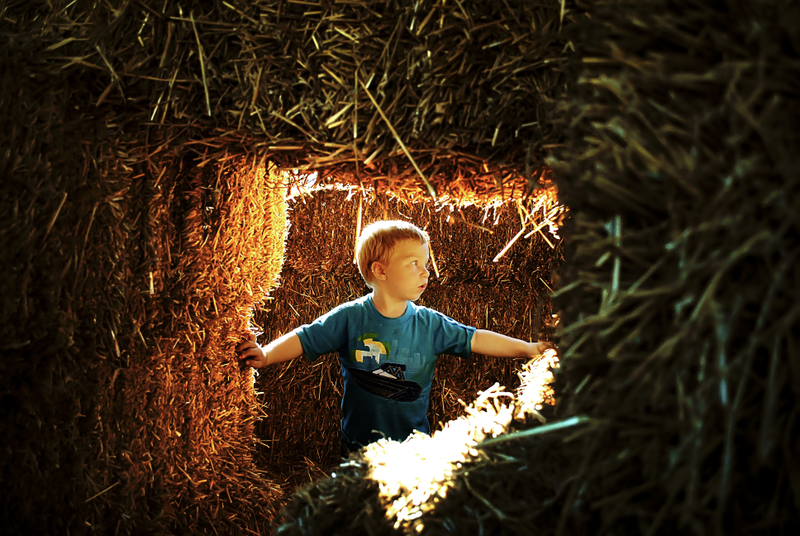 Illustration for article titled Photographing Children